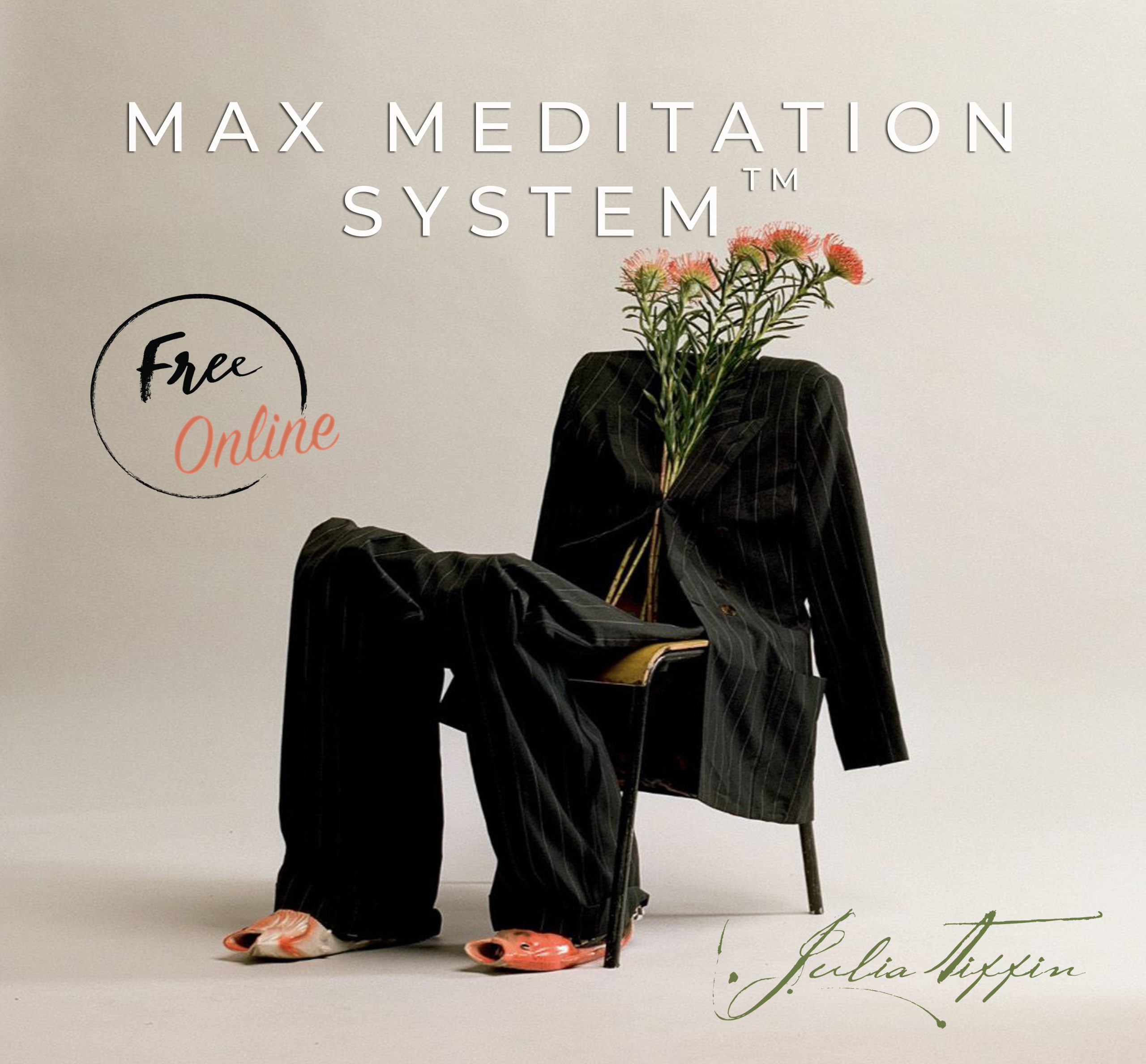 Max Meditation System™ ONLINE (40 mins) @ Zoom online. RSVP for link latest 15mins before start of meditation.